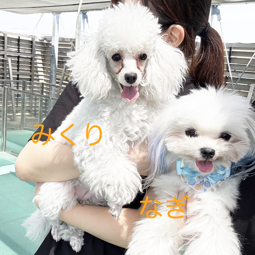 生徒が撮影してくれた写真①